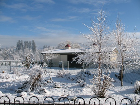 winterwonderland2008